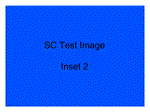 Inset 2 Caption