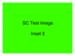 Inset 3 Caption