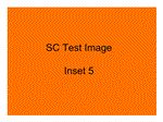 Inset 5 Caption