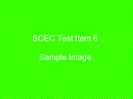 SC Test Item 6