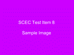 SC Test Item 8