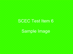SC Test Item 6