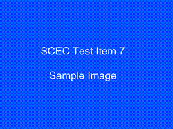 SC Test Item 7