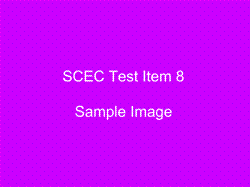 SC Test Item 8